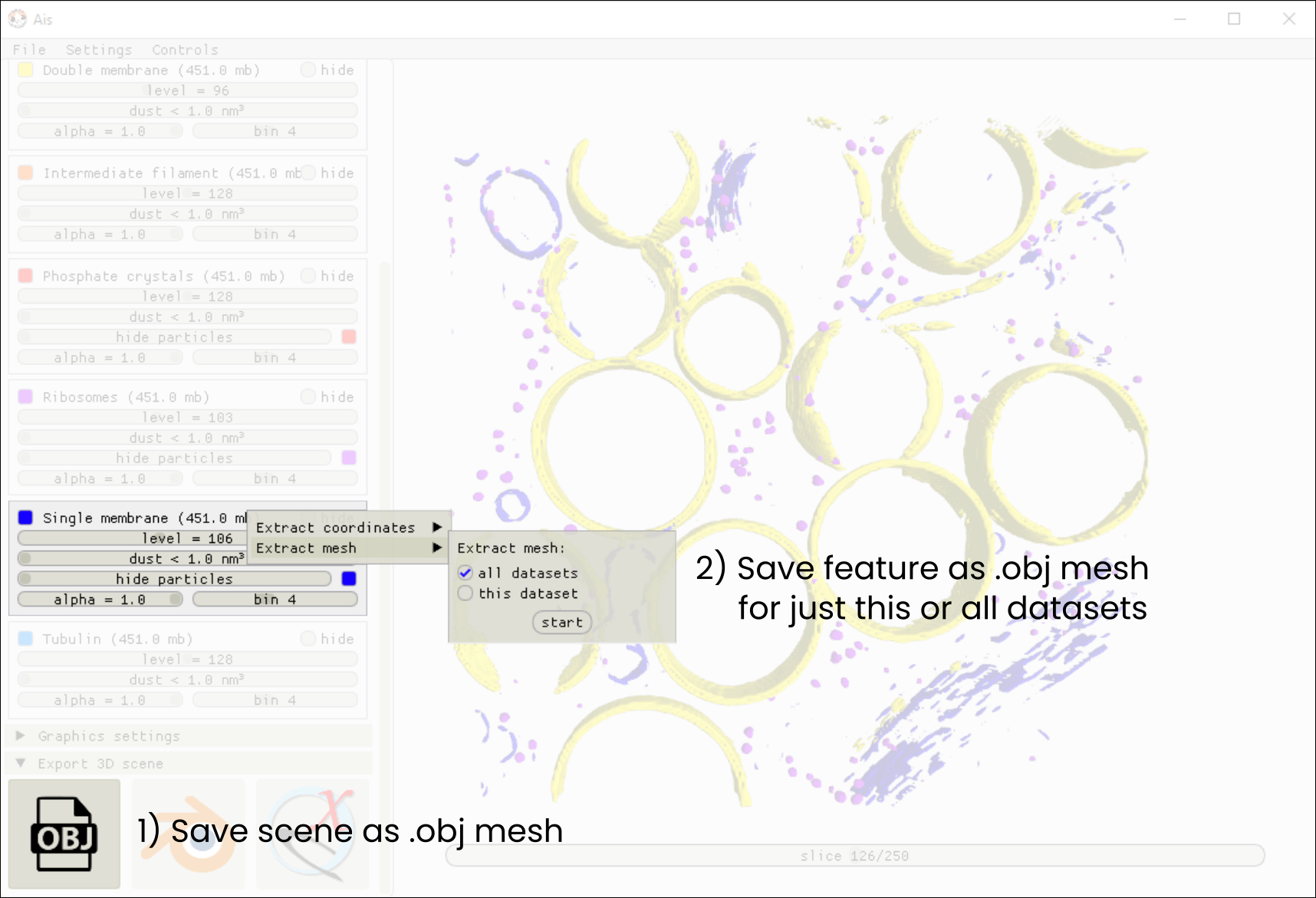 GUI for mesh extraction
