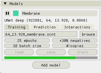 The training tab of the model interface, during training
