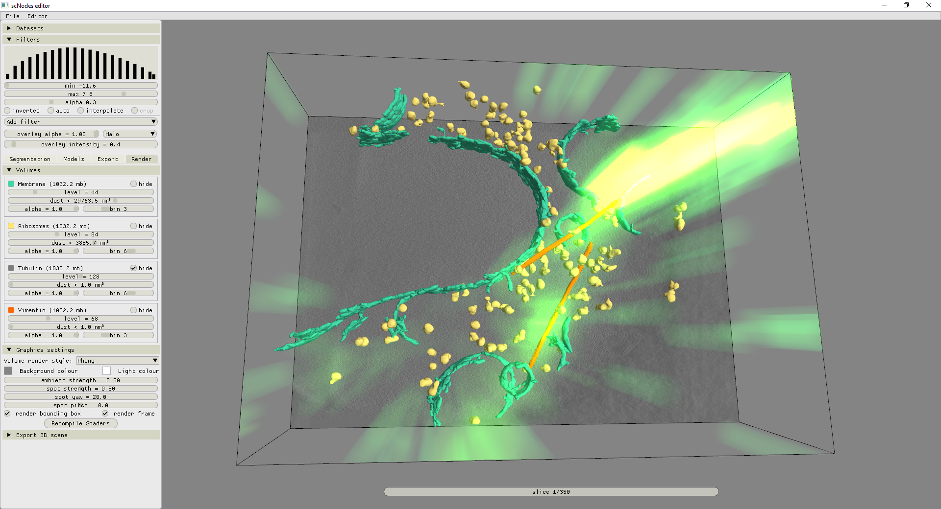 A 3D render of segmented ribosomes, membranes, and vimentin filaments with a fluorescence overlay