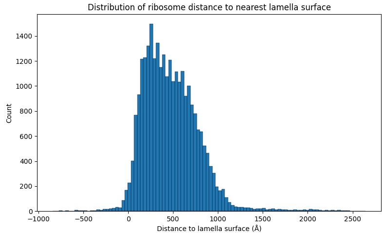 Lamella surface distance histogram