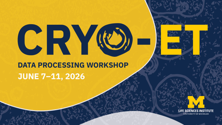 UMich 2026 workshop banner