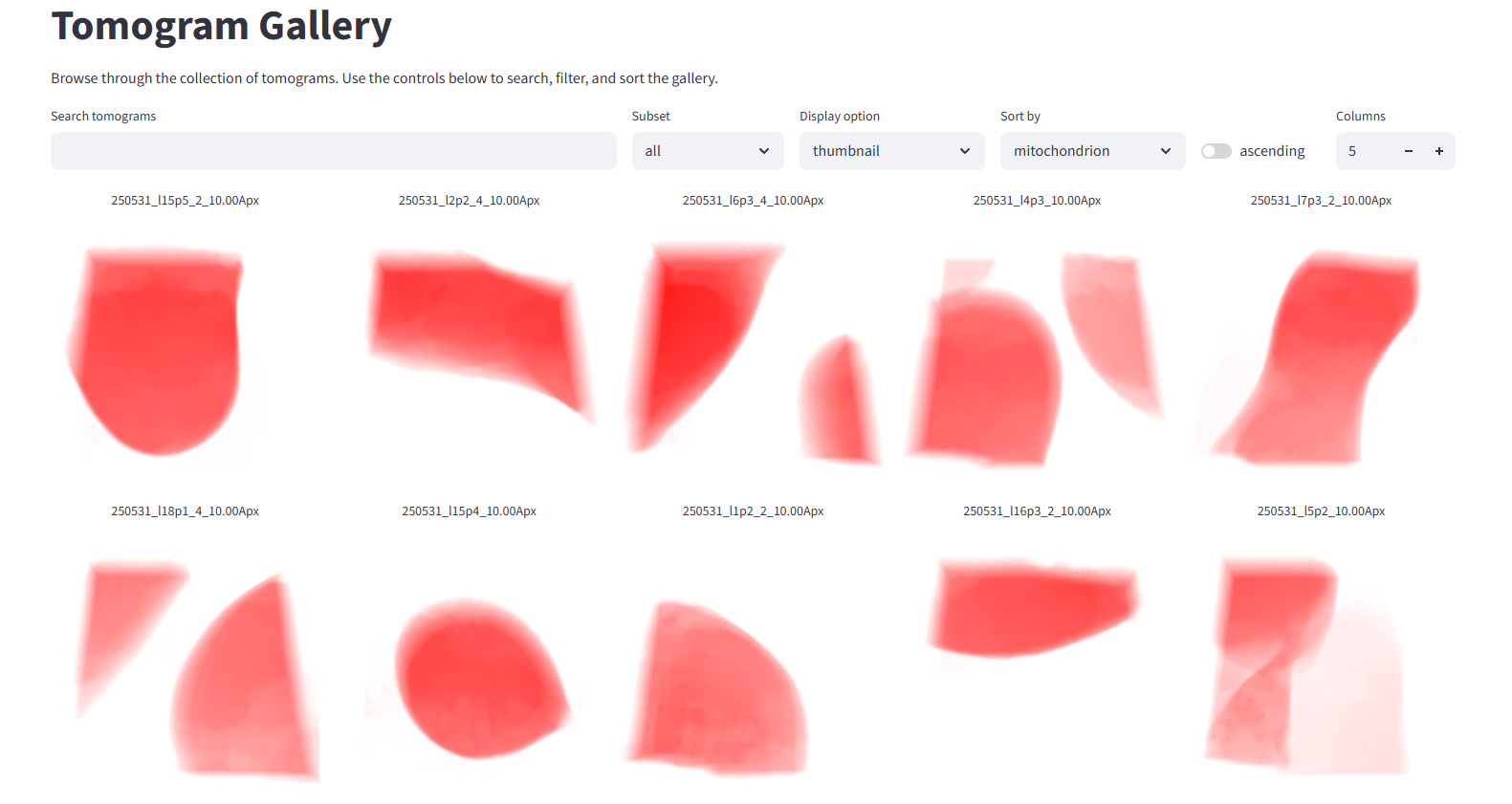 Pom gallery sorted by mitochondrion content