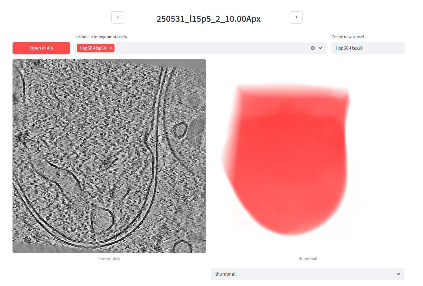 Creating the Hsp60-Hsp10 subset on a tomogram detail page